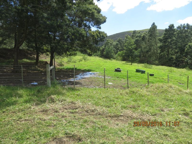 A view of a grassy farm paddock featuring wire fencing, mature trees, and a natural landscape setting.