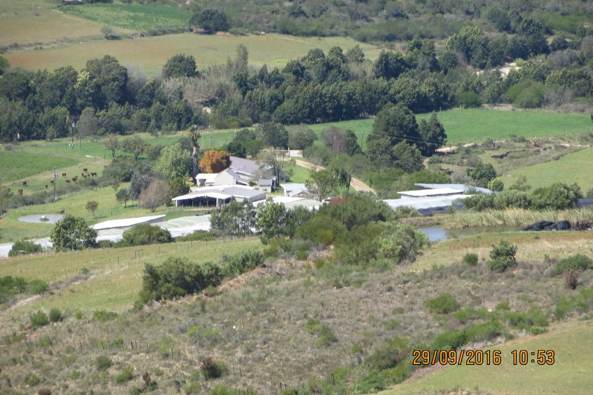 An elevated aerial view of a rural farm property featuring multiple outbuildings, a small dam, and surrounding agricultural landscape.