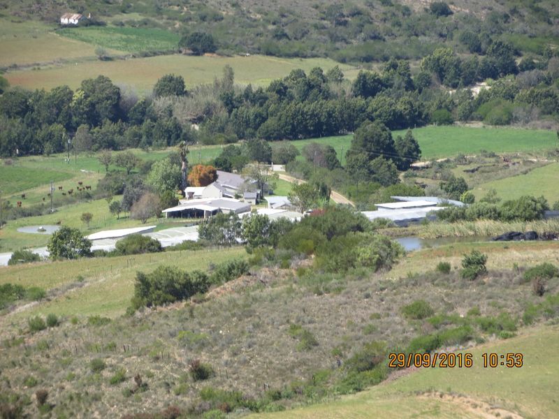 An elevated aerial view of a rural farm property featuring multiple outbuildings, a small dam, and surrounding agricultural landscape.