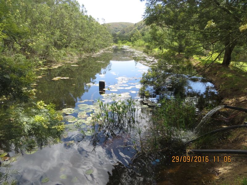 A scenic view of a natural farm pond surrounded by lush vegetation, featuring an active irrigation water feed.