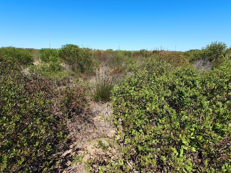 Fantastic Vacant Stand in Gourits River Eco Estate.  - Photo 3