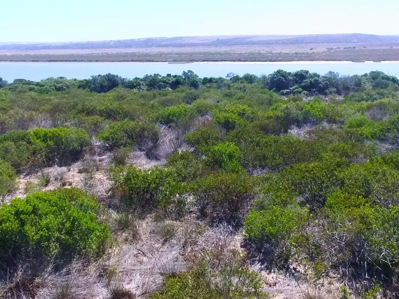 Fantastic Vacant Stand in Gourits River Eco Estate.  - Photo 6