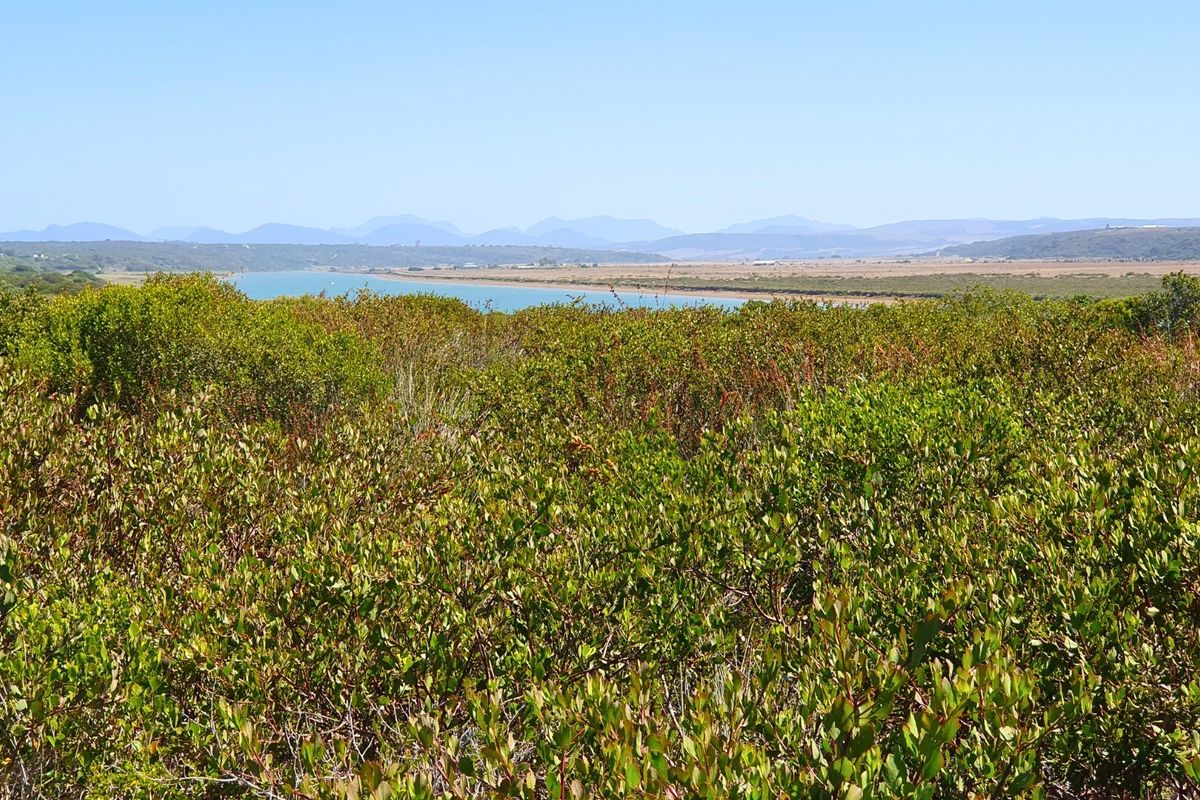A scenic view overlooking natural coastal vegetation, an estuary, and distant mountain ranges, highlighting the tranquil landscape of the vacant land.