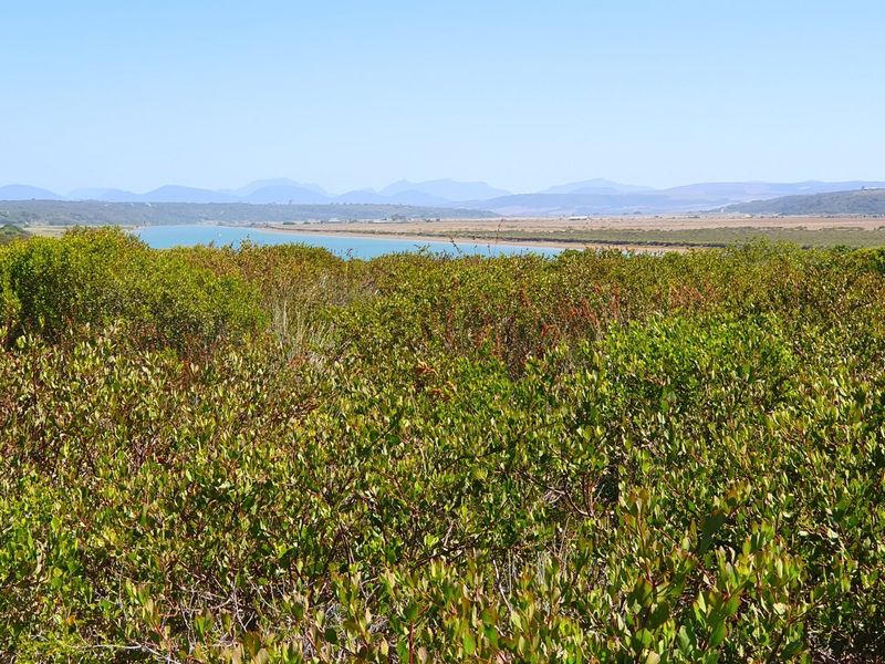 Fantastic Vacant Stand in Gourits River Eco Estate.  - Photo 1