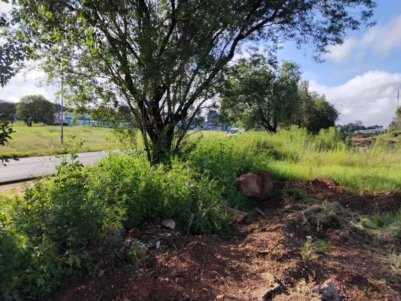 5 000 SQUARE METERS MIXED USE RE-ZONED PROPERTY DEVELOPMENT LAND FOR RENTAL - Photo 5