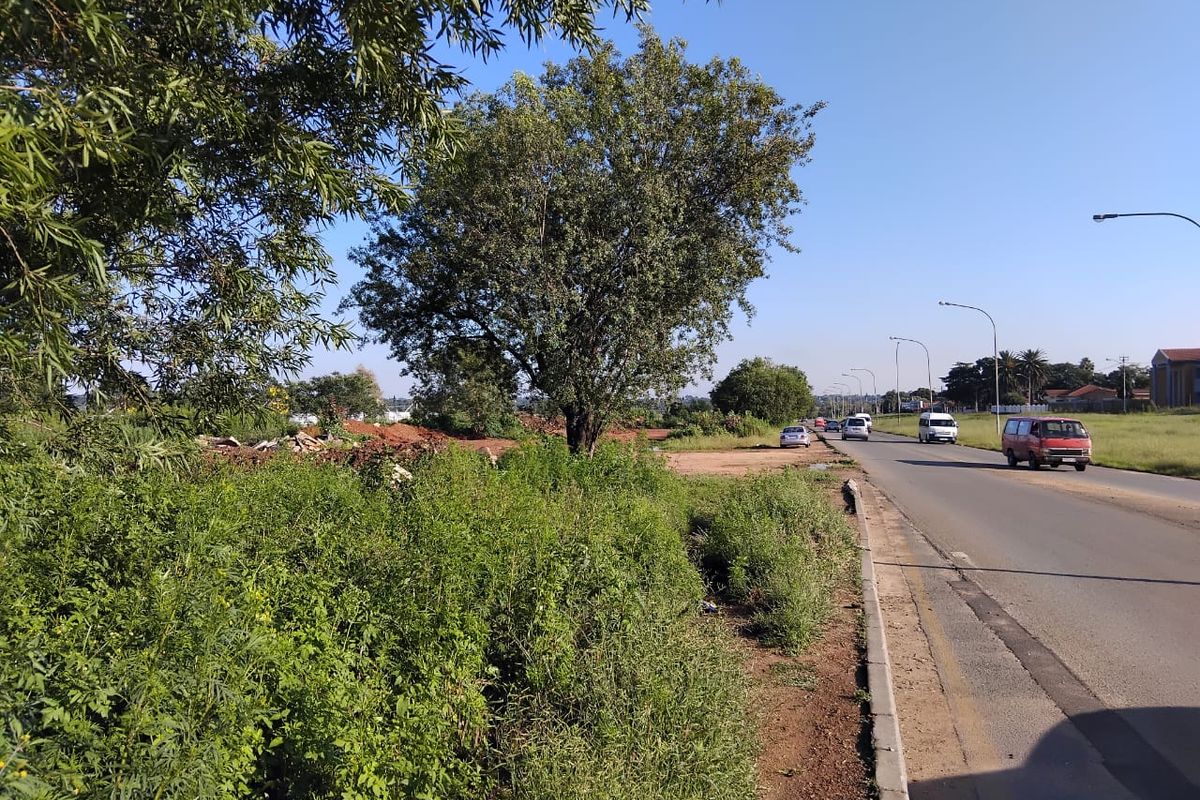 A view of the street frontage adjacent to the vacant residential land, featuring established trees and roadside infrastructure.