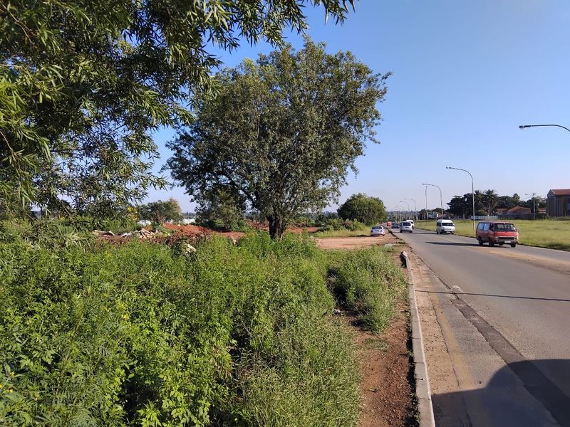A view of the street frontage adjacent to the vacant residential land, featuring established trees and roadside infrastructure.