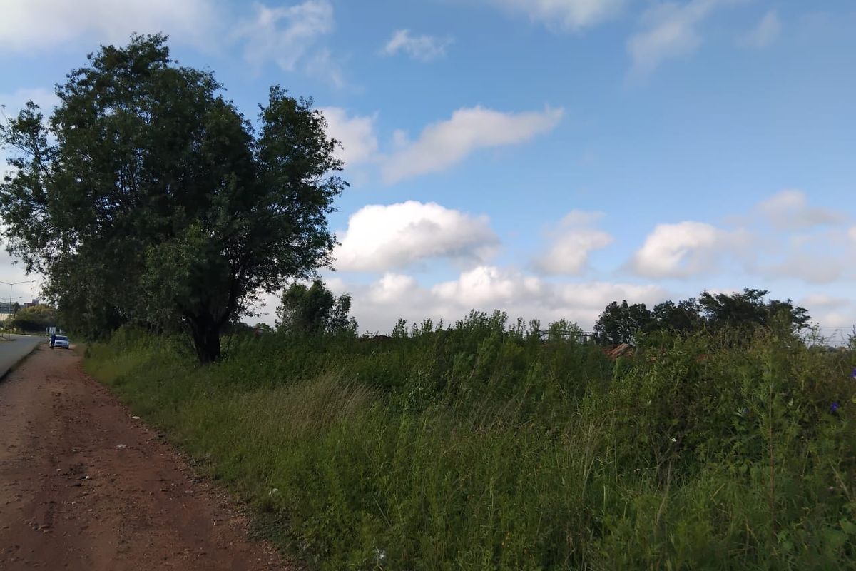 A view of an unpaved road bordering a plot of undeveloped residential land with mature trees and natural vegetation.