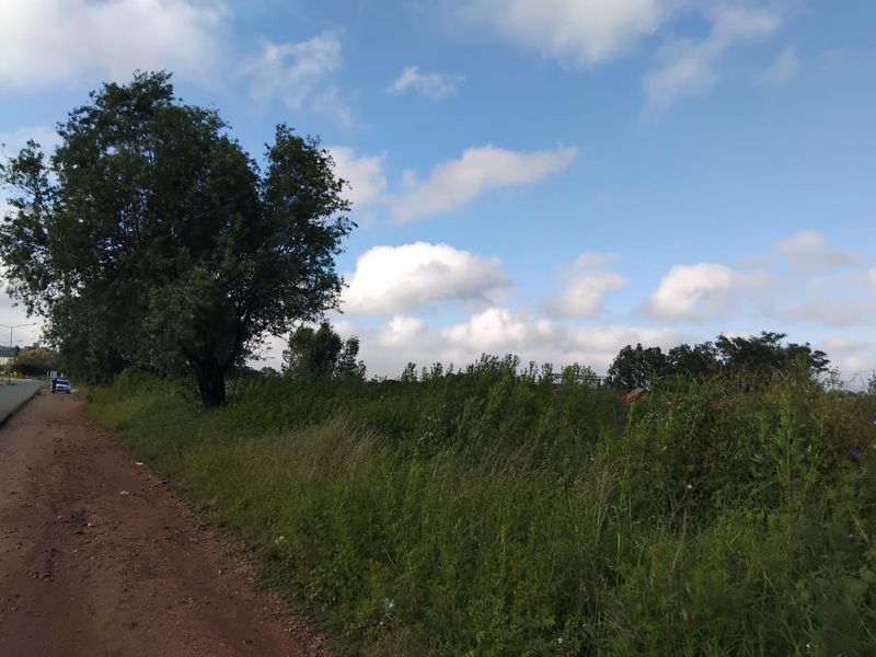A view of an unpaved road bordering a plot of undeveloped residential land with mature trees and natural vegetation.