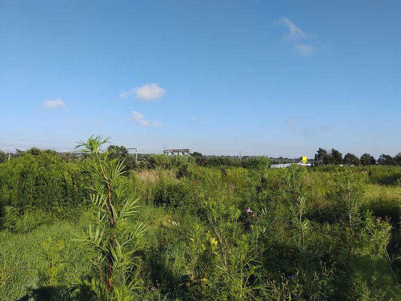 A view of an undeveloped residential plot featuring dense, overgrown vegetation and natural landscape.