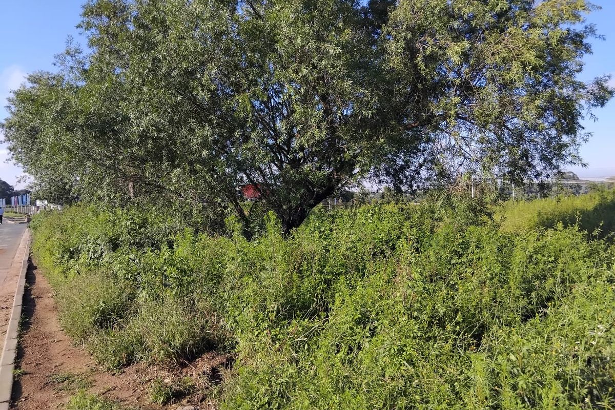 3000 SQUARE METERS MIXED USE RE-ZONED PROPERTY DEVELOPMENT LAND FOR RENTAL - Photo 3