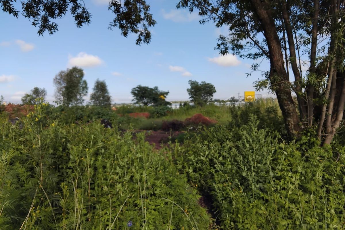 3000 SQUARE METERS MIXED USE RE-ZONED PROPERTY DEVELOPMENT LAND FOR RENTAL - Photo 4