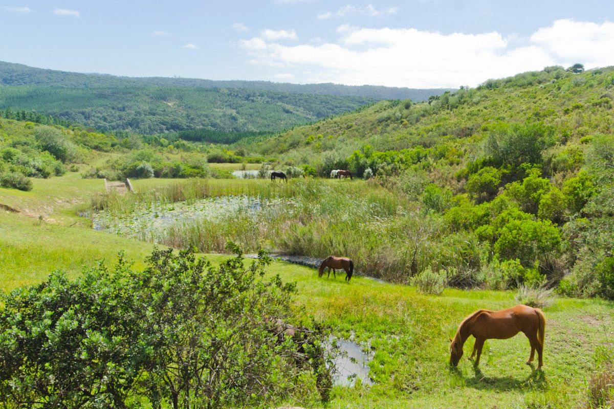 NEW RELEASE : Phase 3 Plots - Photo 5