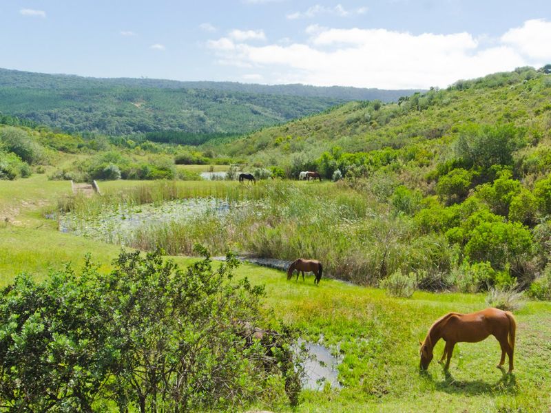 NEW RELEASE : Phase 3 Plots - Photo 5