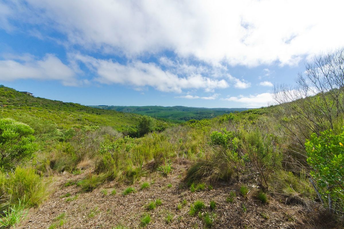 NEW RELEASE : Phase 3 Plots - Photo 4