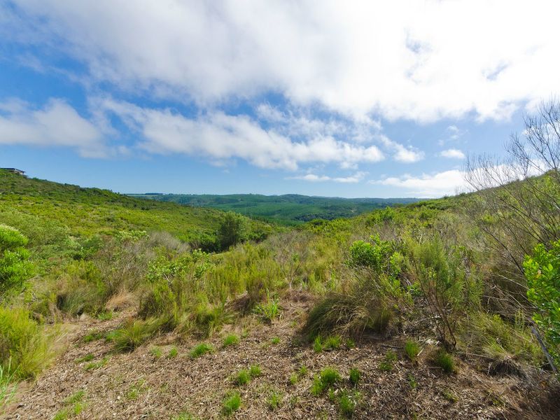 NEW RELEASE : Phase 3 Plots - Photo 4