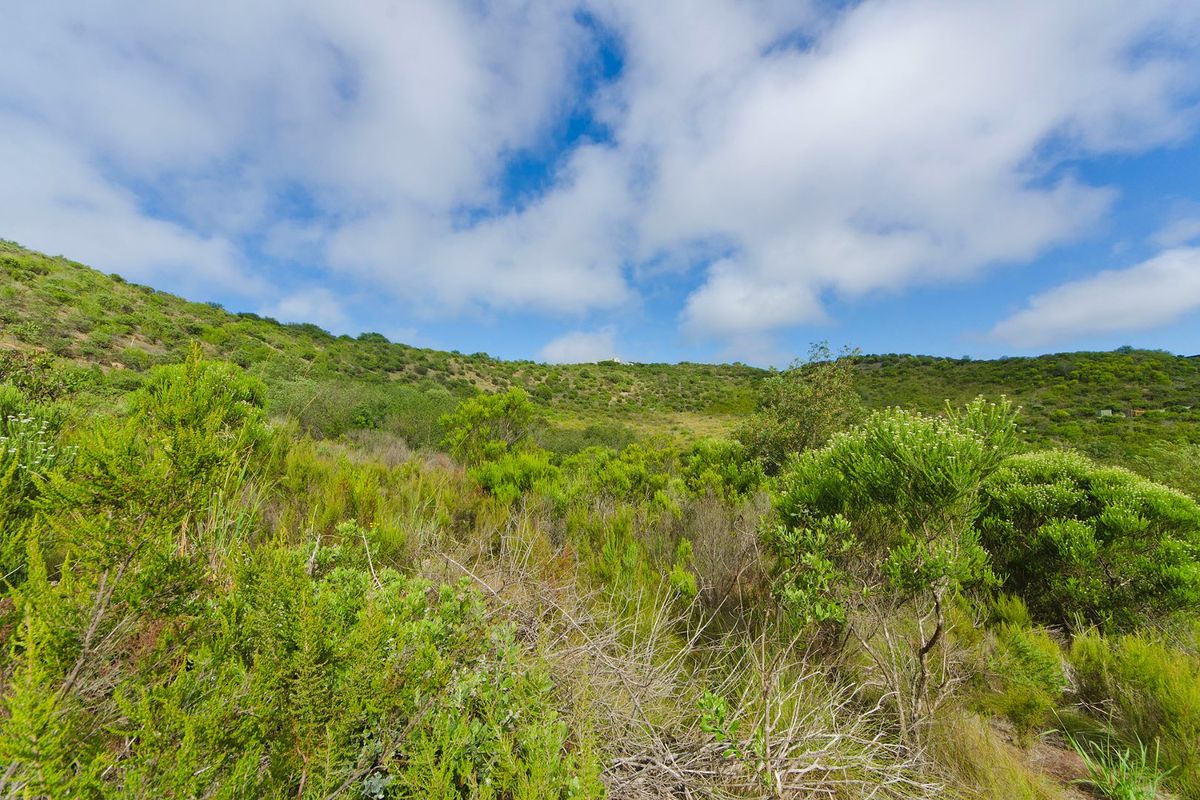 NEW RELEASE : Phase 3 Plots - Photo 3