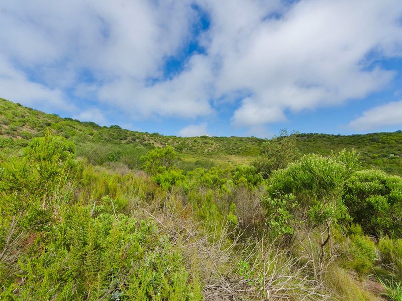 NEW RELEASE : Phase 3 Plots - Photo 3