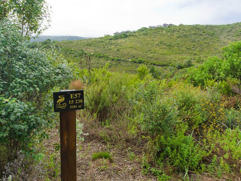 NEW RELEASE : Phase 3 Plots - Photo 2