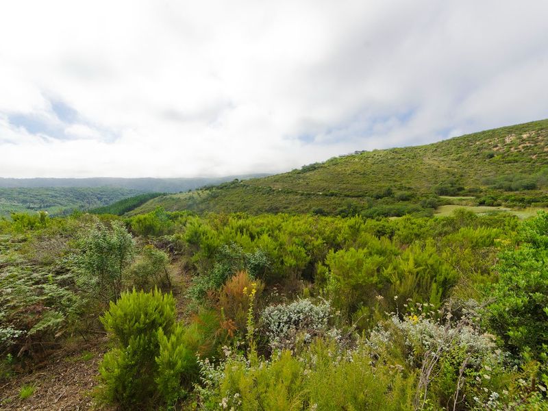 NEW RELEASE : Phase 3 Plots - Photo 5