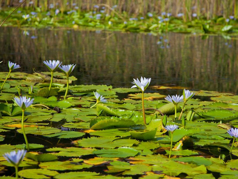 NEW RELEASE : Phase 3 Plots - Photo 7