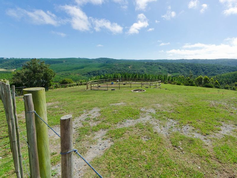 NEW RELEASE : Phase 3 Plots - Photo 8