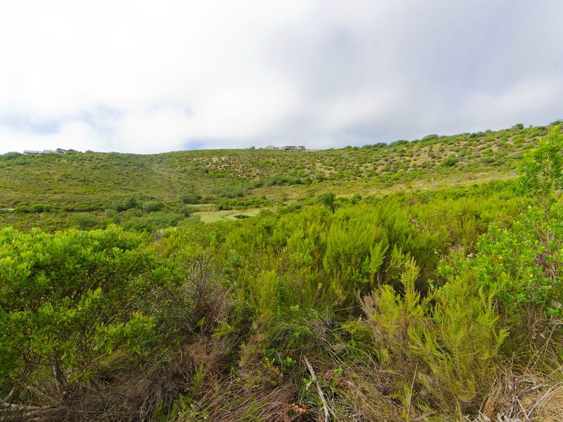 NEW RELEASE : Phase 3 Plots - Photo 3