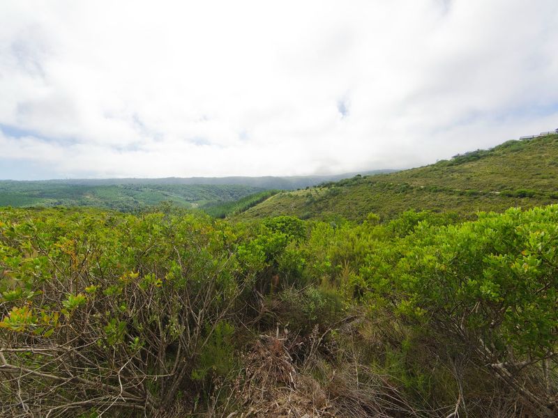 NEW RELEASE : Phase 3 Plots - Photo 4