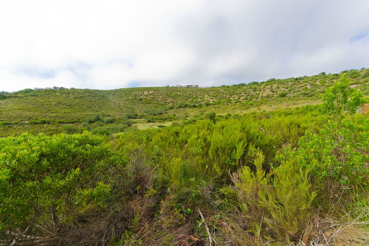 A scenic view of the natural, sloped landscape and indigenous vegetation on this vacant residential property.