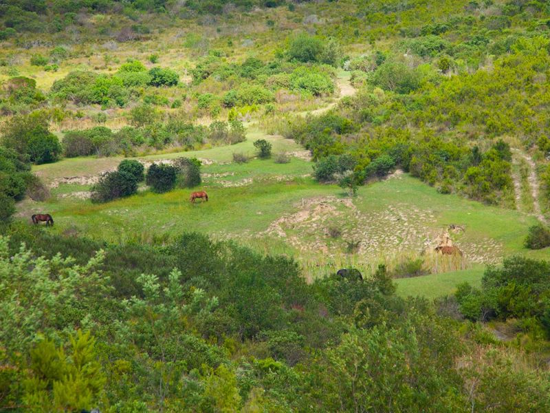 NEW RELEASE : Phase 3 Plots - Photo 1