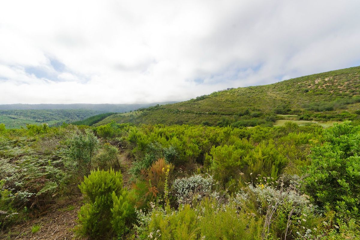 A scenic view of the natural landscape featuring rolling hills covered in native vegetation and a cloudy sky.