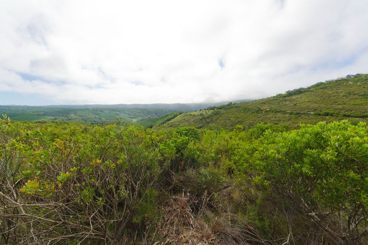 A scenic view of the natural hilly landscape and native vegetation surrounding the vacant residential property.
