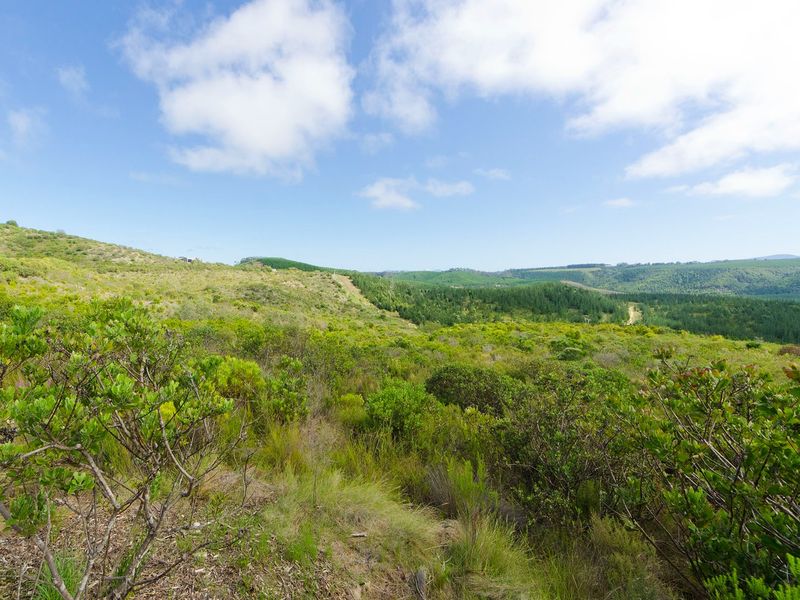 NEW RELEASE : Phase 3 Plots - Photo 2