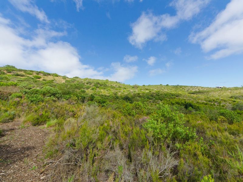 NEW RELEASE : Phase 3 Plots - Photo 6