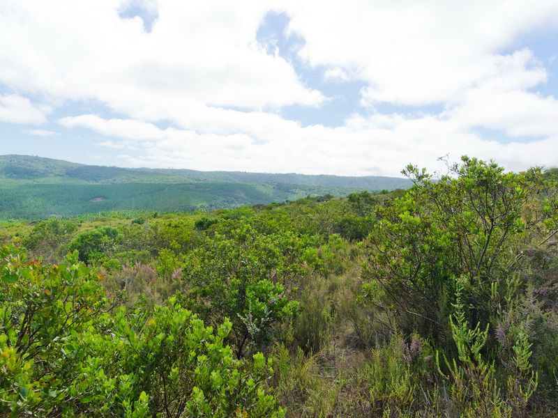 NEW RELEASE : Phase 3 Plots - Photo 4