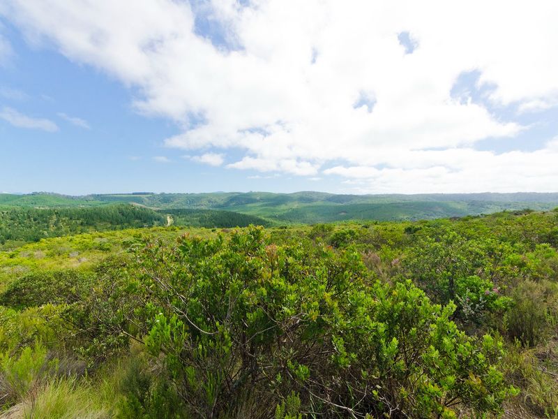 NEW RELEASE : Phase 3 Plots - Photo 3