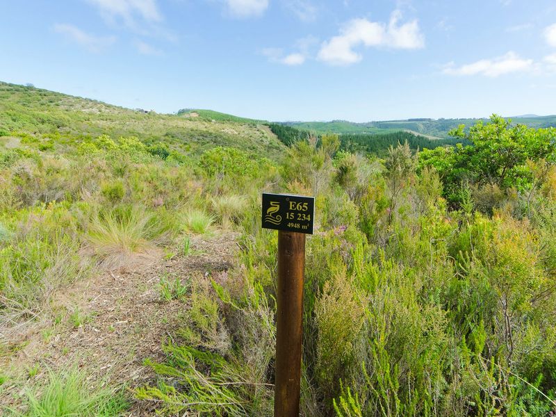 NEW RELEASE : Phase 3 Plots - Photo 1