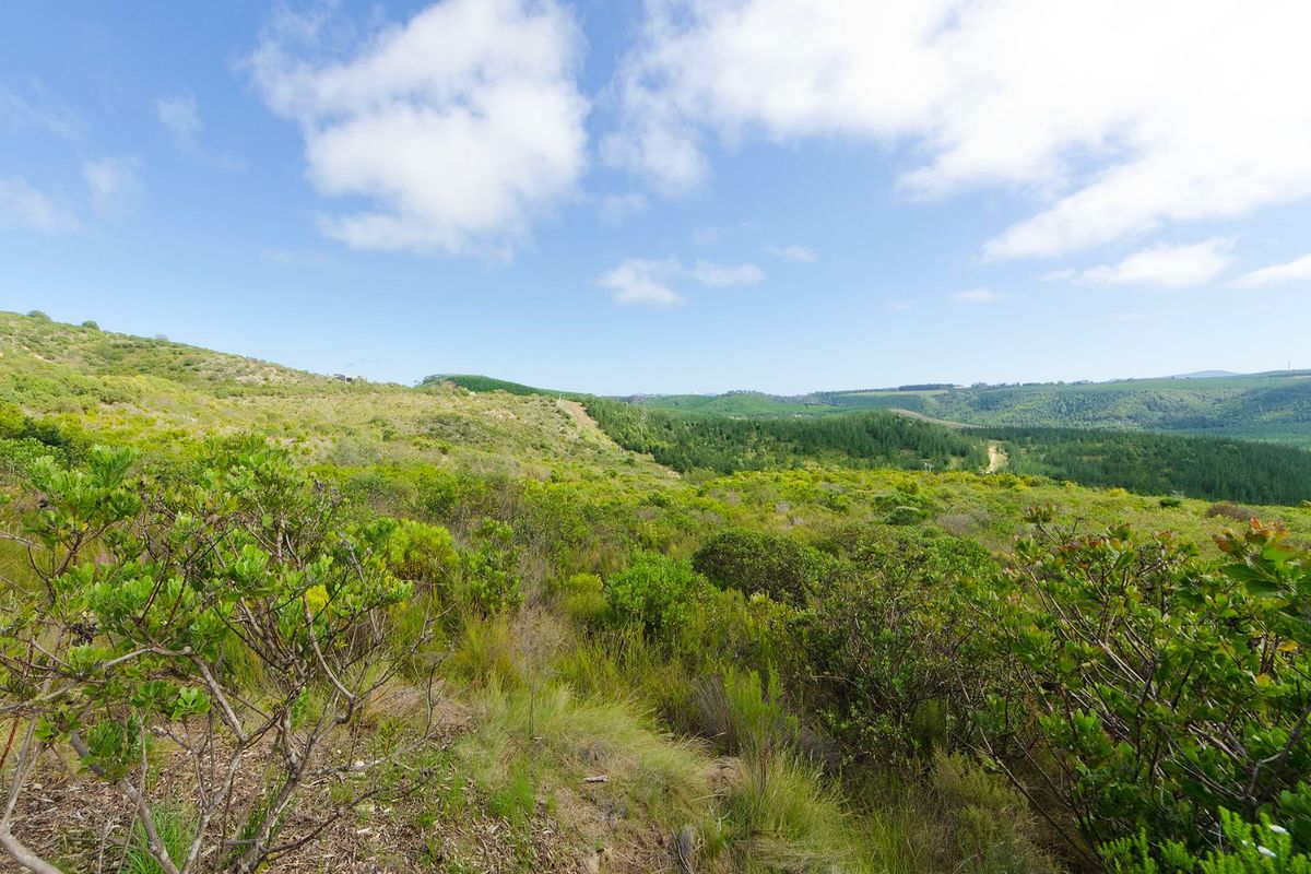 A scenic view of the expansive natural landscape, featuring rolling hills and native vegetation on this vacant residential property.
