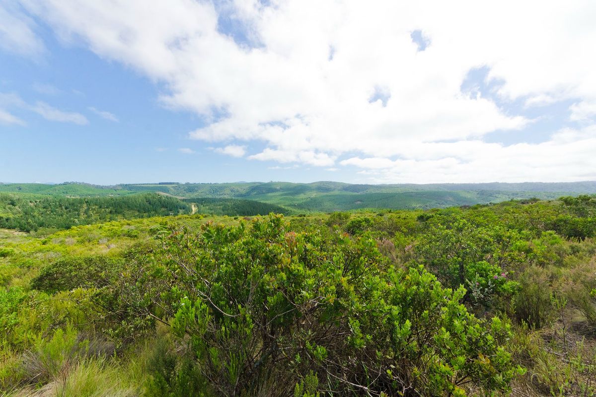 A scenic, elevated view of the surrounding natural landscape, featuring rolling hills and lush green vegetation under a bright, clear sky.