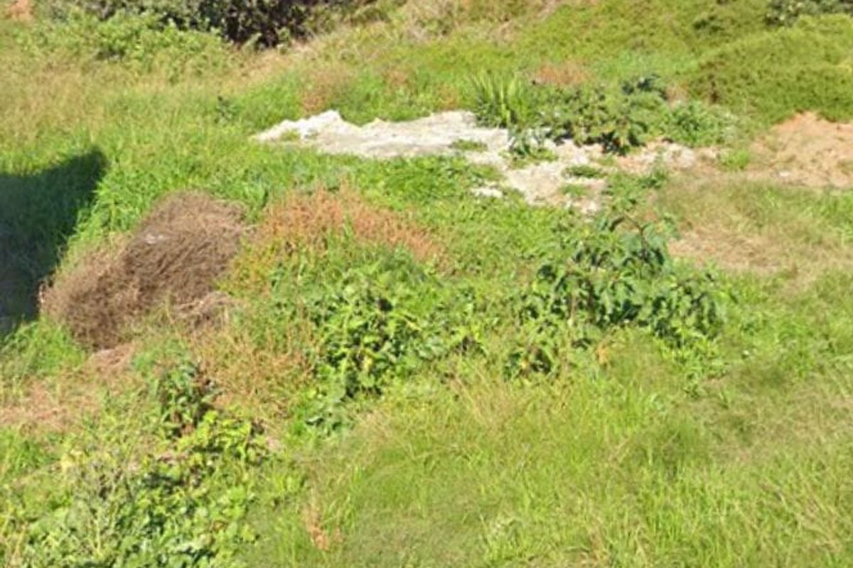 A view of an undeveloped residential plot featuring overgrown grass and vegetation, with a perimeter wall and electric fencing visible in the background.