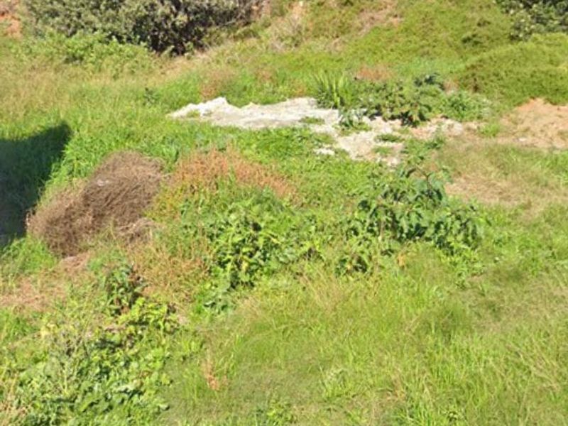 A view of an undeveloped residential plot featuring overgrown grass and vegetation, with a perimeter wall and electric fencing visible in the background.