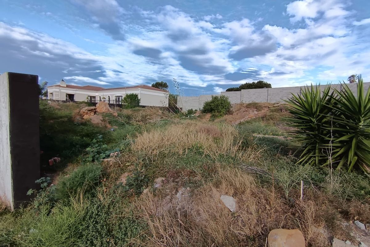 A view of an undeveloped residential plot featuring natural vegetation and a boundary wall, showing potential for future landscaping or construction.