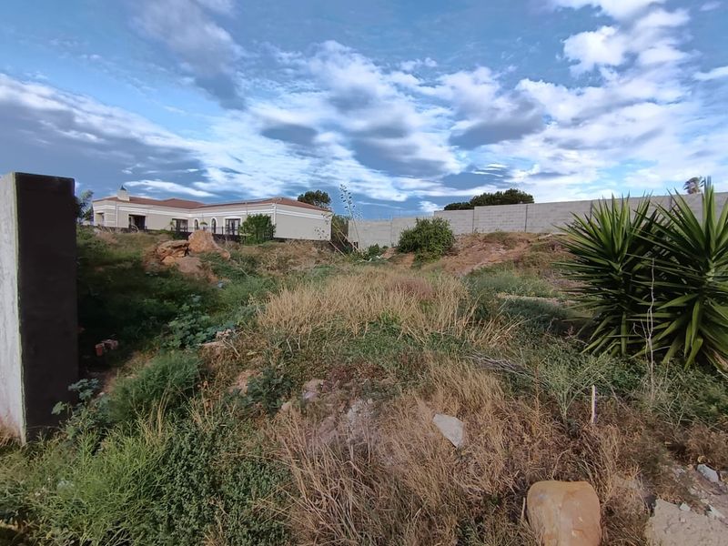 A view of an undeveloped residential plot featuring natural vegetation and a boundary wall, showing potential for future landscaping or construction.