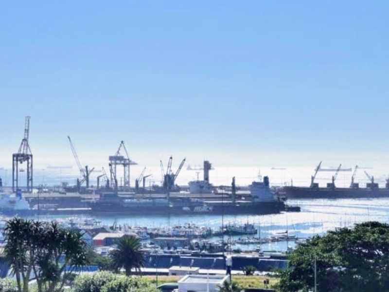 An elevated view overlooking a busy industrial harbor with cargo ships, cranes, and maritime infrastructure under a clear blue sky.