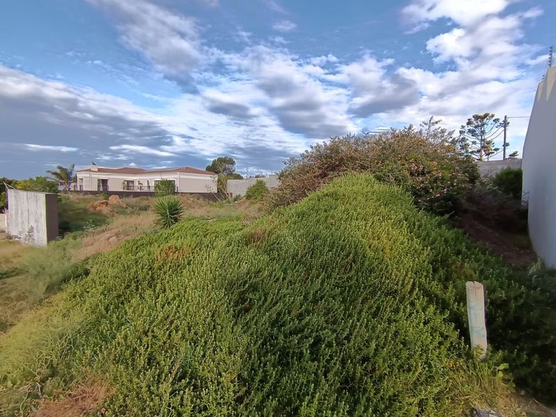 A view of a vacant residential plot featuring established shrubbery and boundary walling with electric fencing.
