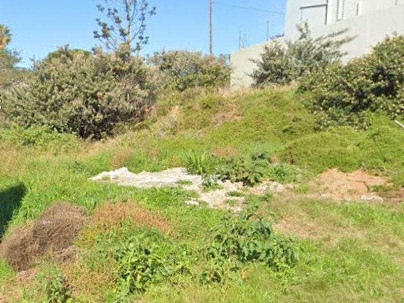 A view of a sloped, undeveloped residential plot with overgrown vegetation and a neighboring structure visible in the background.