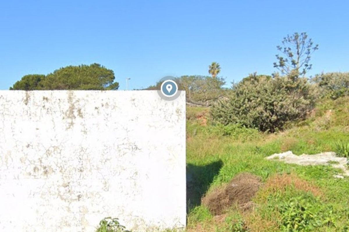A view of a vacant residential plot featuring a weathered boundary wall and natural vegetation.