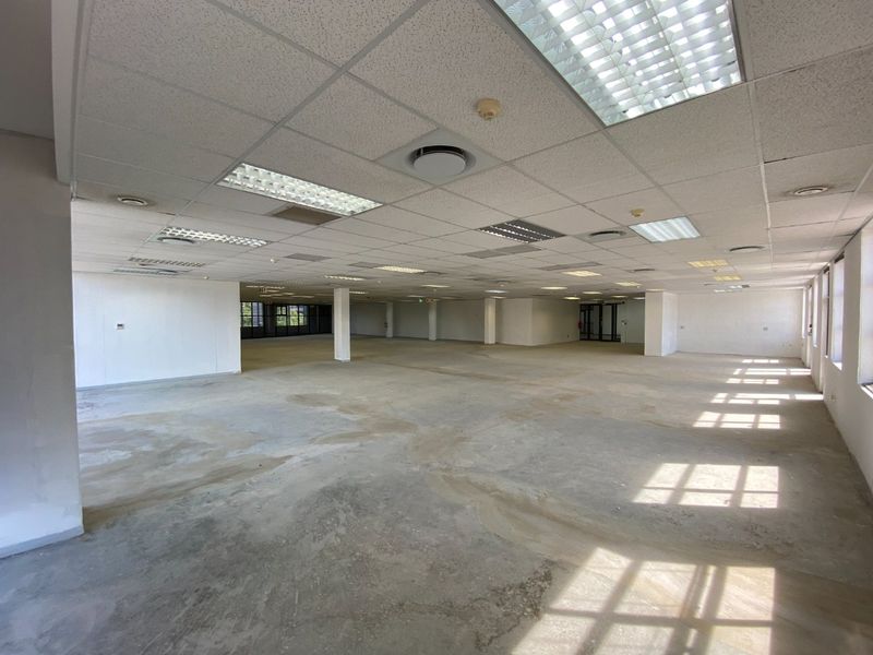Prime Office Space Available In Brooklyn - Photo 3