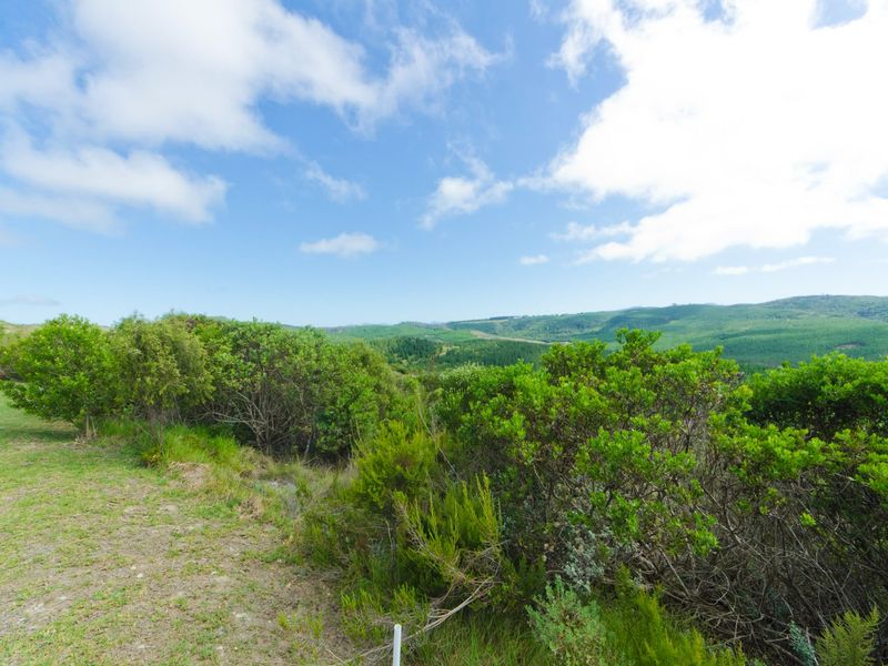 NEW RELEASE : Phase 3 Plots - Photo 4