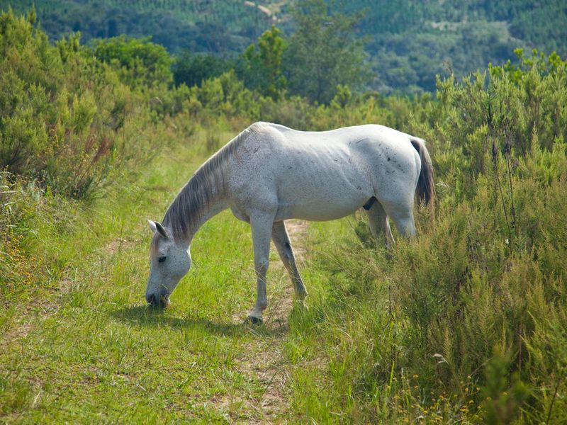 NEW RELEASE : Phase 3 Plots - Photo 6